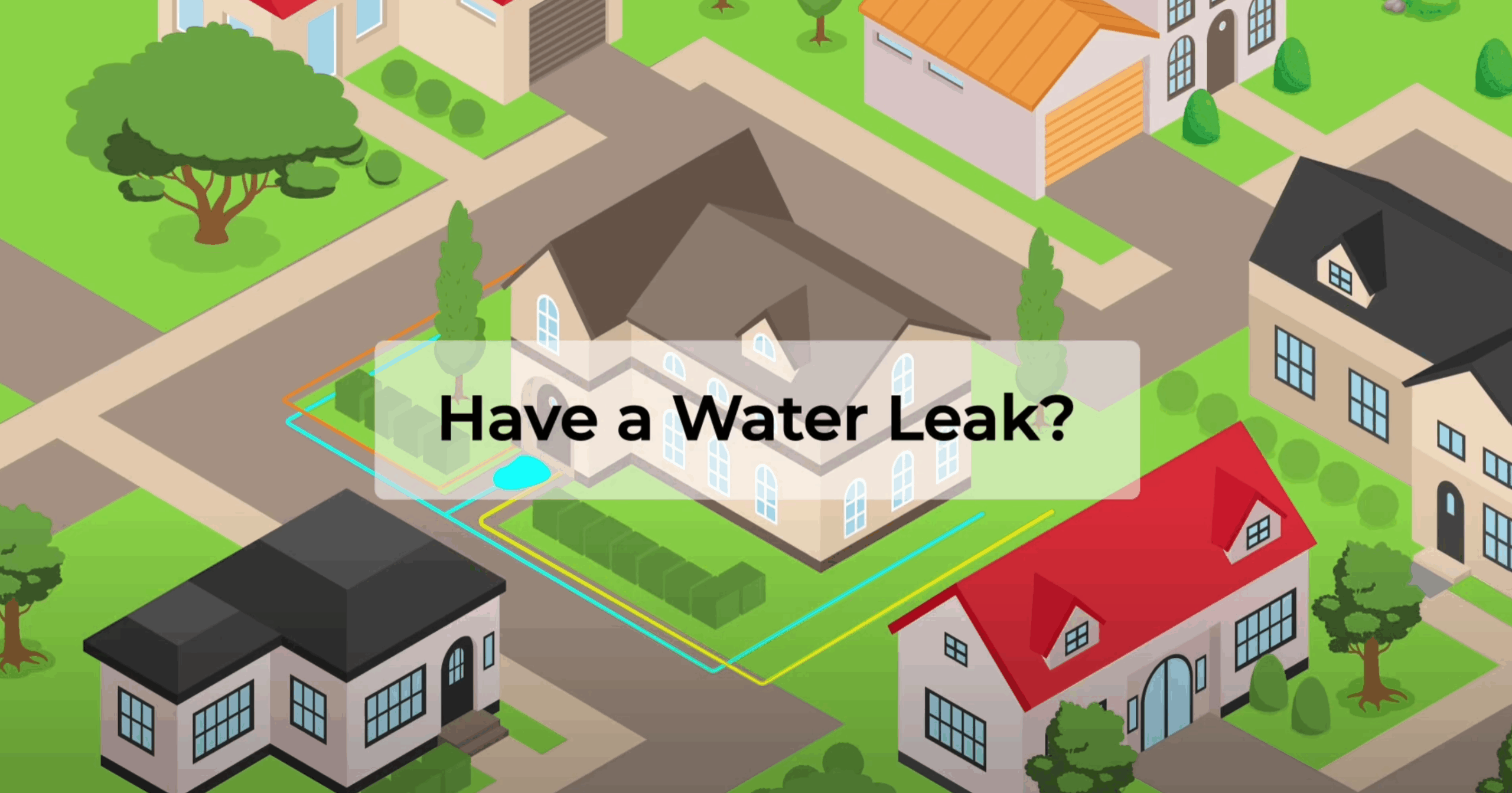 Water Leak